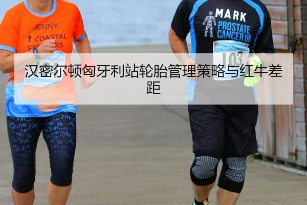 汉密尔顿匈牙利站轮胎管理策略与红牛差距
