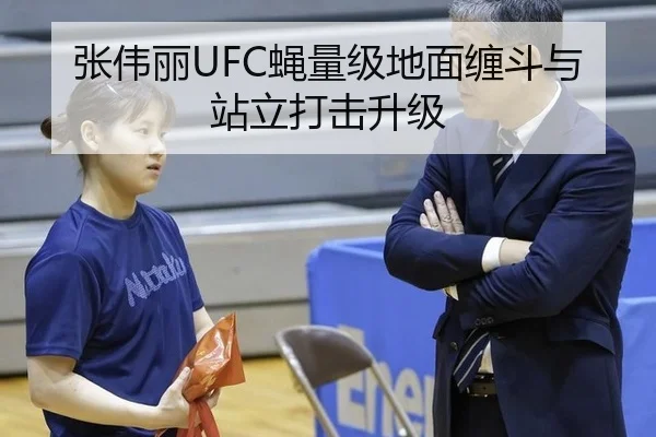 张伟丽UFC蝇量级地面缠斗与站立打击升级