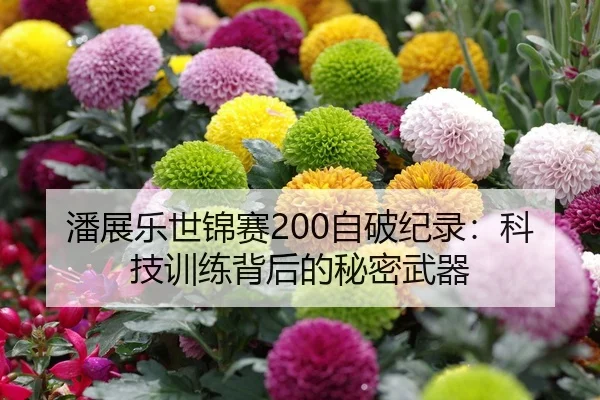 潘展乐世锦赛200自破纪录：科技训练背后的秘密武器