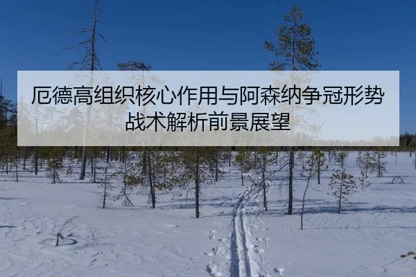 厄德高组织核心作用与阿森纳争冠形势战术解析前景展望