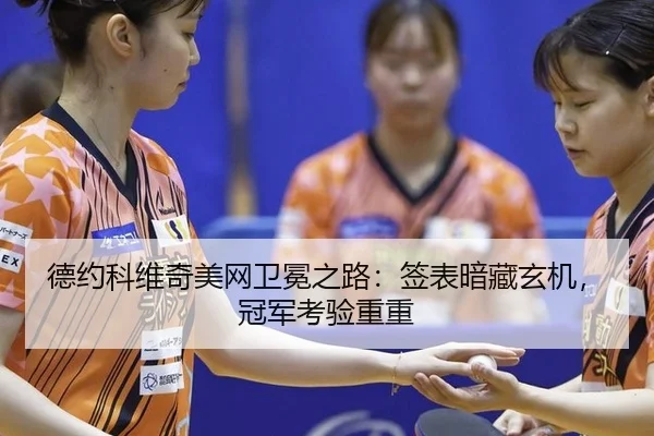 德约科维奇美网卫冕之路：签表暗藏玄机，冠军考验重重